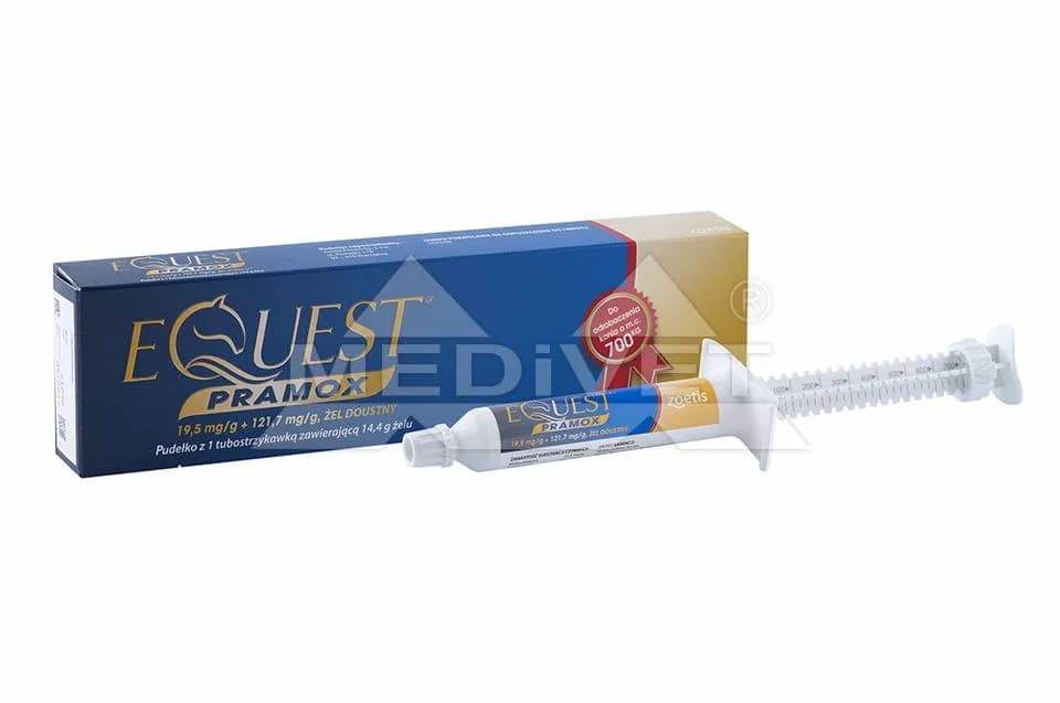 Ile kosztuje odrobaczanie konia i co warto wiedzieć przed zabiegiem Ile kosztuje odrobaczanie konia i co warto wiedzieć przed zabiegiem