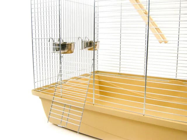 Jaka klatka dla papugi falistej zapewni jej komfort i bezpieczeństwo Jaka klatka dla papugi falistej zapewni jej komfort i bezpieczeństwo