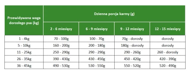 Co mogą jeść szczeniaki? Najlepsze pokarmy dla zdrowego wzrostu Co mogą jeść szczeniaki? Najlepsze pokarmy dla zdrowego wzrostu