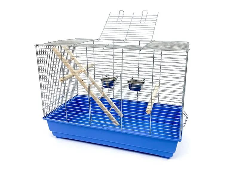 Jaka klatka dla zeberek zapewni im zdrowe i szczęśliwe życie? Jaka klatka dla zeberek zapewni im zdrowe i szczęśliwe życie?