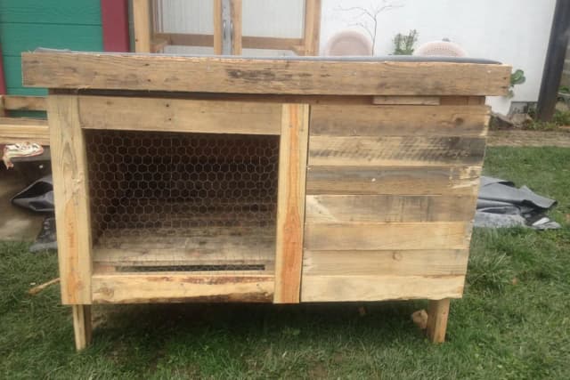 Jak zrobić drzwiczki do klatki dla królików i zapewnić im bezpieczeństwo Jak zrobić drzwiczki do klatki dla królików i zapewnić im bezpieczeństwo