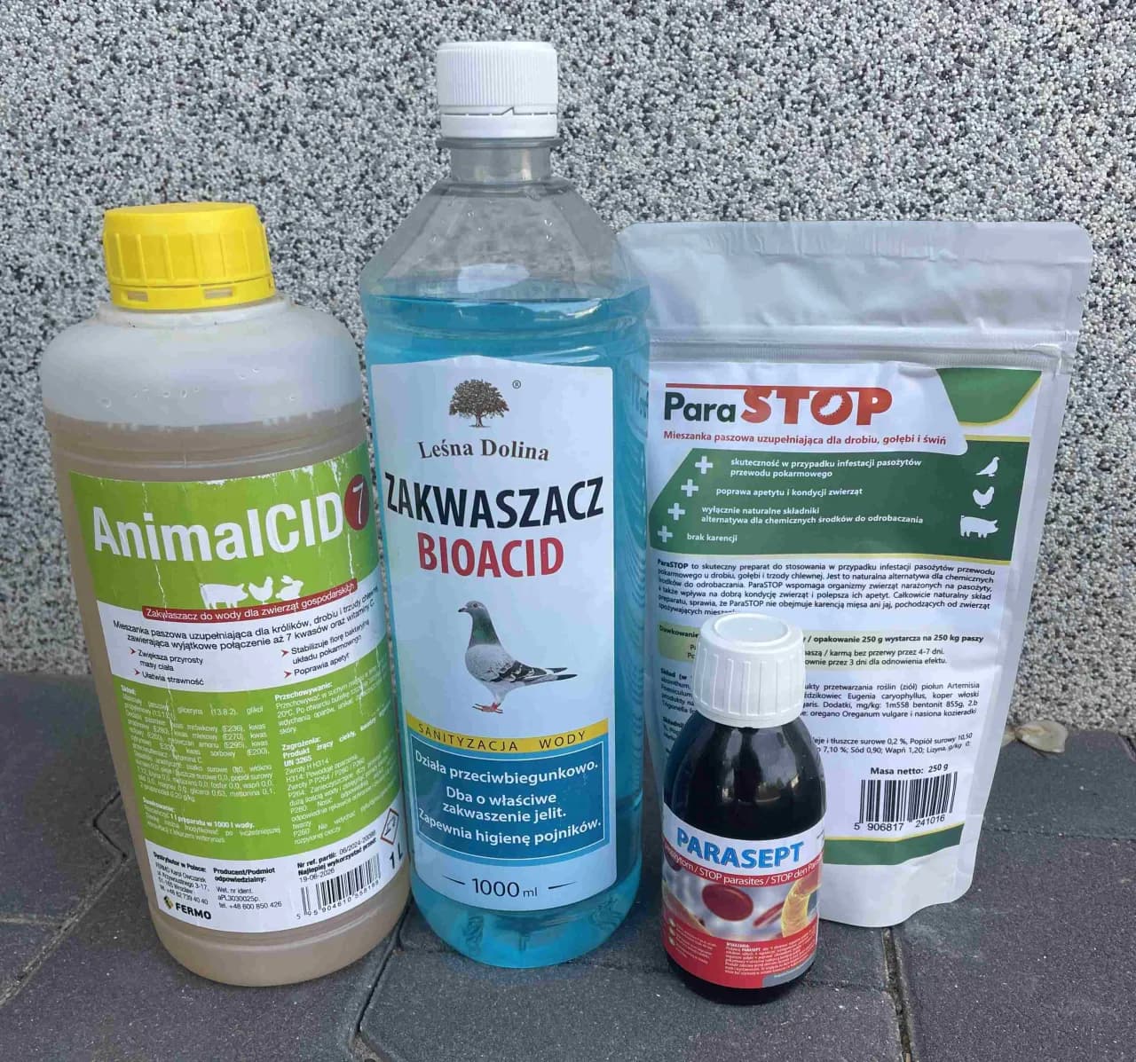 Skuteczne sposoby czym odrobaczać gołębie: praktyczny poradnik hodowcy Skuteczne sposoby czym odrobaczać gołębie: praktyczny poradnik hodowcy