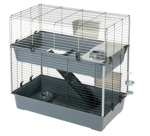 Wymiary klatki dla 2 świnek morskich: wszystko o komfortowych warunkach Wymiary klatki dla 2 świnek morskich: wszystko o komfortowych warunkach