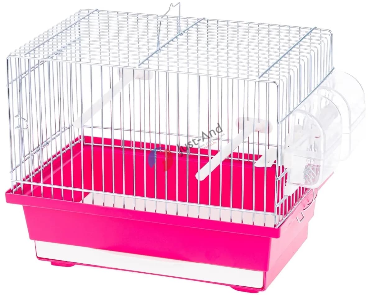 Ile kosztuje klatka dla kanarka - poznaj aktualne ceny i różnice jakościowe Ile kosztuje klatka dla kanarka - poznaj aktualne ceny i różnice jakościowe