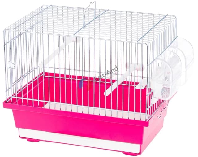 Ile kosztuje klatka dla kanarka - poznaj aktualne ceny i różnice jakościowe Ile kosztuje klatka dla kanarka - poznaj aktualne ceny i różnice jakościowe