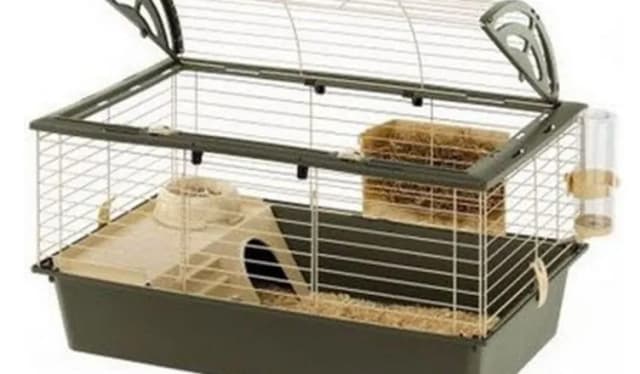 Jaką klatkę dla koszatniczki wybrać: wymiary i wyposażenie na start Jaką klatkę dla koszatniczki wybrać: wymiary i wyposażenie na start