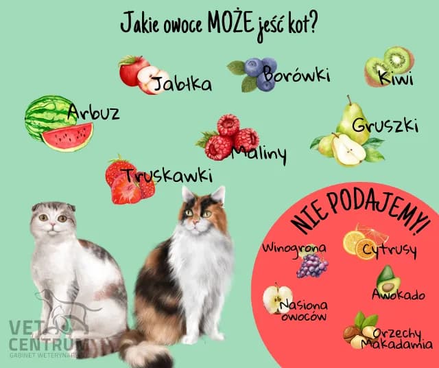 Które warzywa mogą jeść koty: lista bezpiecznych i szkodliwych produktów Które warzywa mogą jeść koty: lista bezpiecznych i szkodliwych produktów