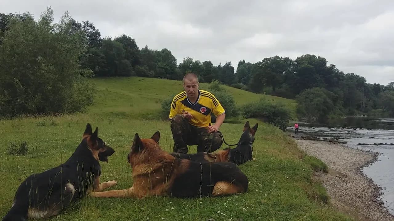 Kiedy zacząć tresurę owczarka niemieckiego, aby uniknąć problemów? Kiedy zacząć tresurę owczarka niemieckiego, aby uniknąć problemów?