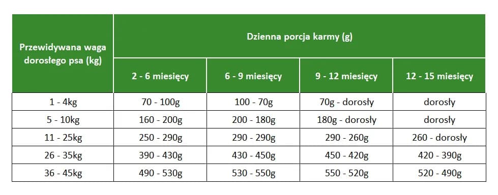 Czy szczeniak może jeść karmę dla dorosłych psów i co to oznacza dla zdrowia? Czy szczeniak może jeść karmę dla dorosłych psów i co to oznacza dla zdrowia?
