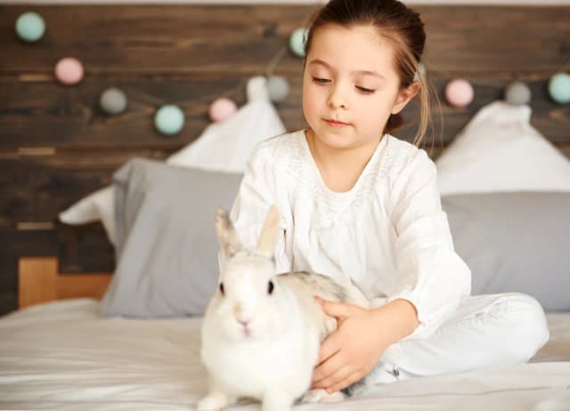 Ile kosztuje królik w zoologicznym? Ceny, które mogą Cię zaskoczyć Ile kosztuje królik w zoologicznym? Ceny, które mogą Cię zaskoczyć