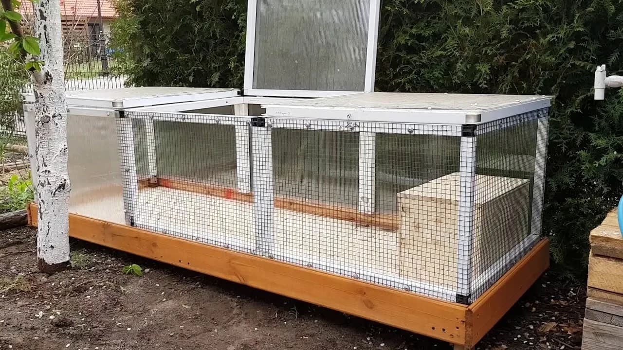 Jak zrobić klatkę dla przepiórek w 6 prostych krokach - poradnik domownika Jak zrobić klatkę dla przepiórek w 6 prostych krokach - poradnik domownika