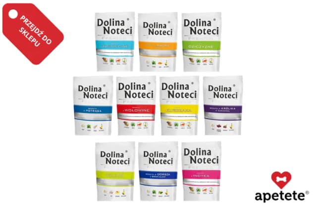 Czy pies może jeść melona? Poznaj bezpieczne zasady karmienia Czy pies może jeść melona? Poznaj bezpieczne zasady karmienia