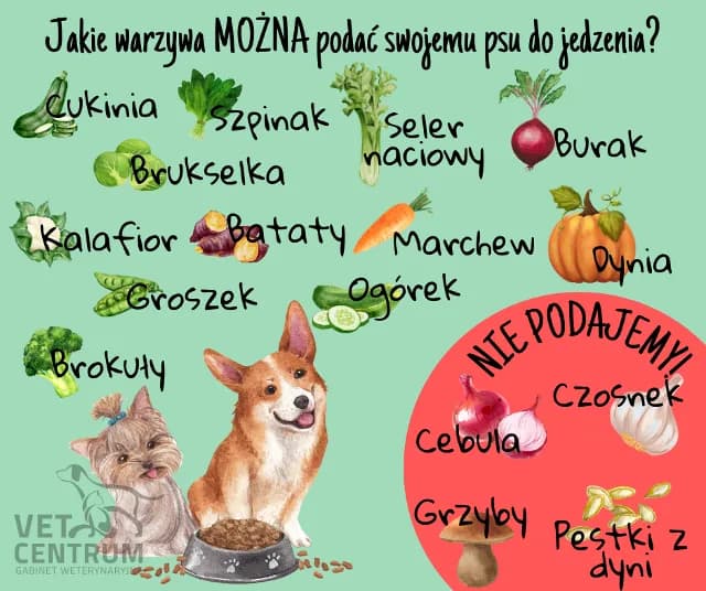 Czy koty mogą jeść czosnek? Poznaj zagrożenia i objawy zatrucia Czy koty mogą jeść czosnek? Poznaj zagrożenia i objawy zatrucia